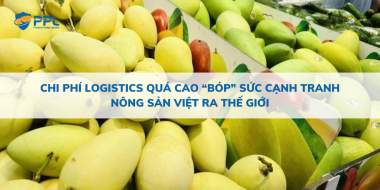 Chi phí logistics quá cao “bóp” sức cạnh tranh nông sản Việt ra thế giới